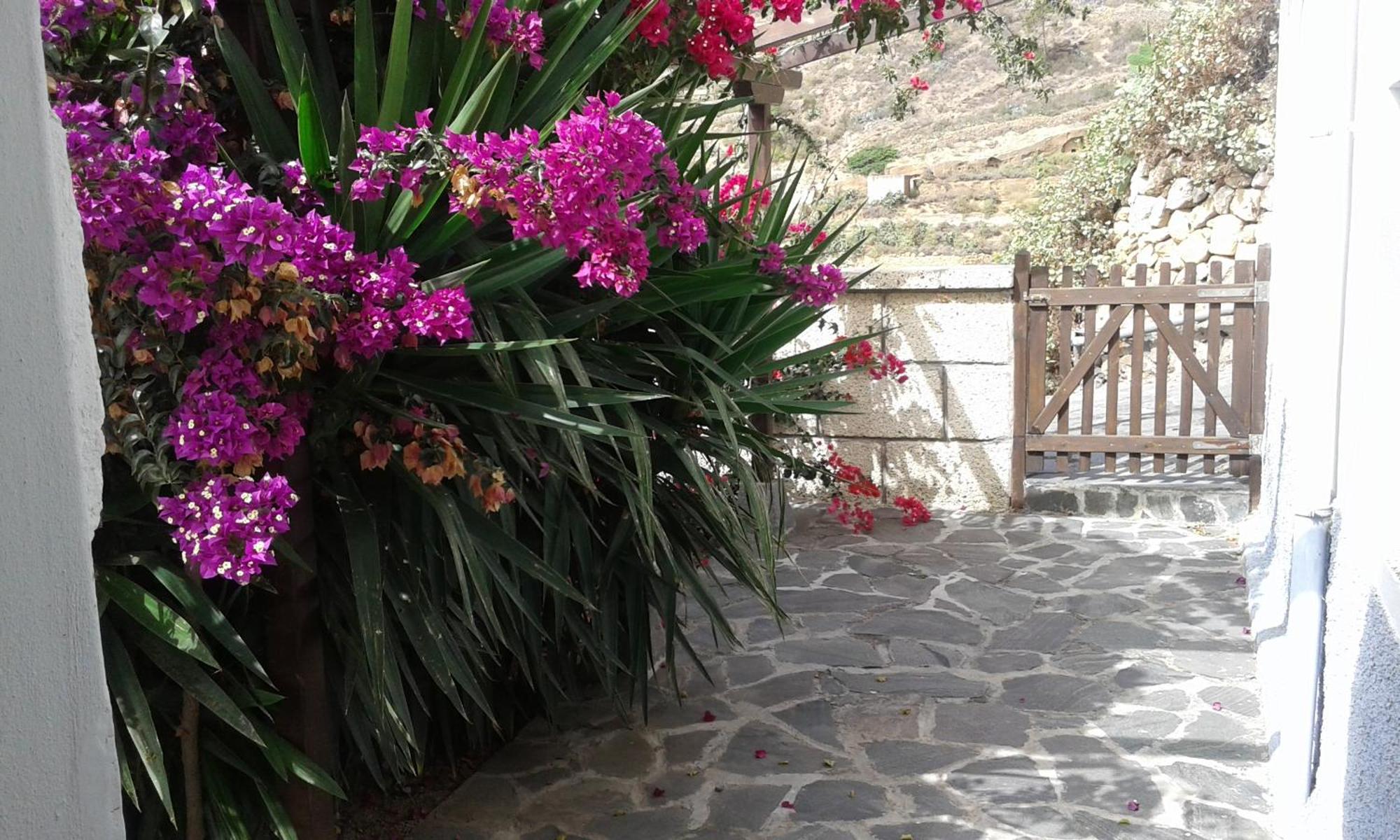 Casapancho 1 Y 2 - Casa Rural - Fasnia - Tenerife Room photo